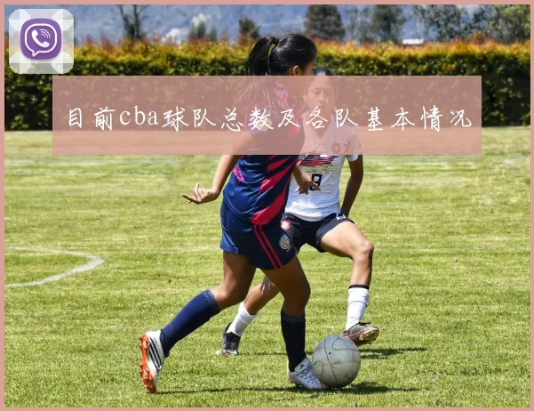 目前cba球队总数及各队基本情况