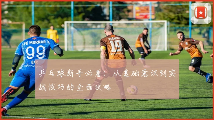 乒乓球新手必看：从基础意识到实战技巧的全面攻略